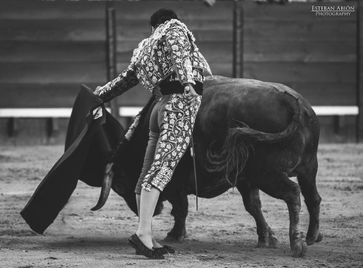 Toros Feria del caballo 2015 Jerez