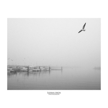 Serie Niebla
